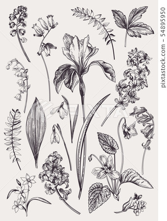 Set with spring flowers. 54895950