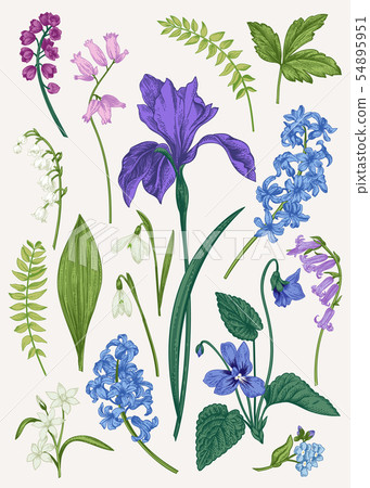 Set with spring flowers. Set with spring flowers. 54895951