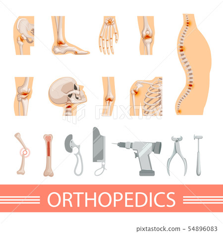 Orthopedic icons set. Human skeleton, bones and different medical accessories 54896083