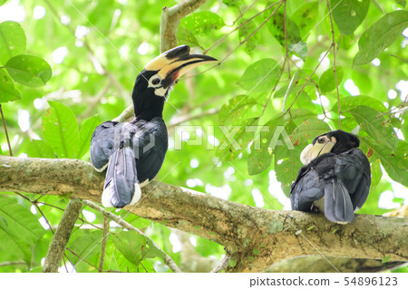 In a complete forest Some days we will find a 54896123