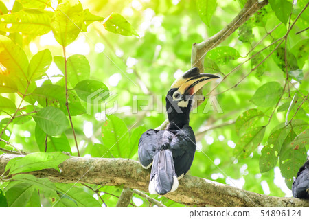 In a complete forest Some days we will find a 54896124