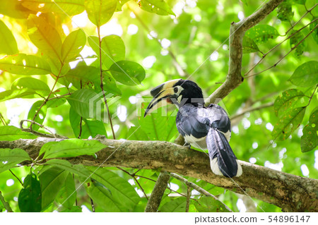 In a complete forest Some days we will find a 54896147