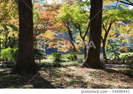 開始被上色的日比谷公園的風景 開始被上色的日比谷公園的風景 54896441