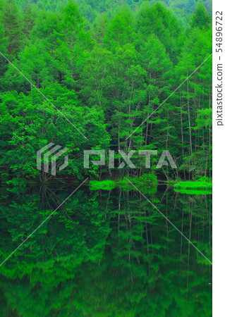 Fresh green eco image Fresh green eco image 54896722
