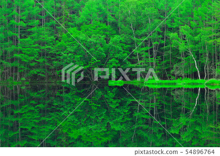 Fresh green eco image 54896764