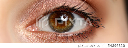 Letterbox view of female left brown green coloured amazing eye Letterbox view of female left brown green coloured amazing eye 54896810