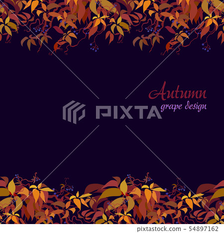 Autumn grape vine - Stock Illustration [54897162] - PIXTA