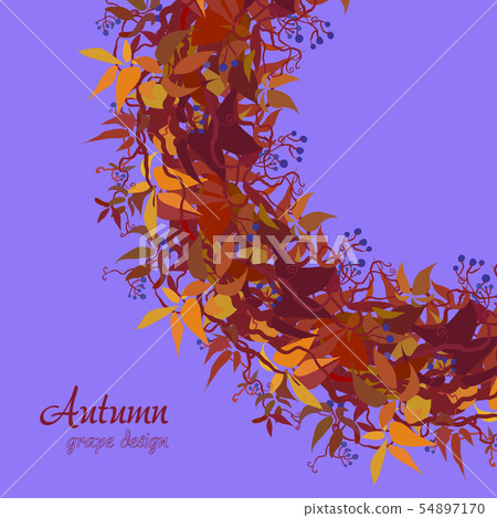 Autumn grape vine - Stock Illustration [54897170] - PIXTA