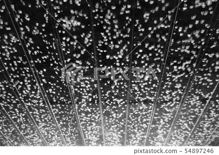 Abstract black and white background. Granules Abstract black and white background. Granules 54897246