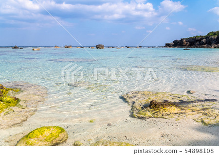 Okinerabu Island Kunigami Okinerabu Island Kunigami 54898108