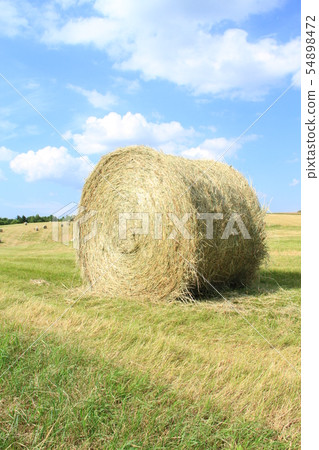 Pasture roll, blue sky and pasture roll, pasture field Pasture roll, blue sky and pasture roll, pasture field 54898472