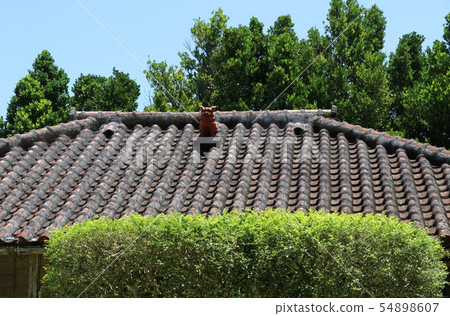 Scenery with Okinawa / Motobu Peninsula / Shisa (1) 54898607