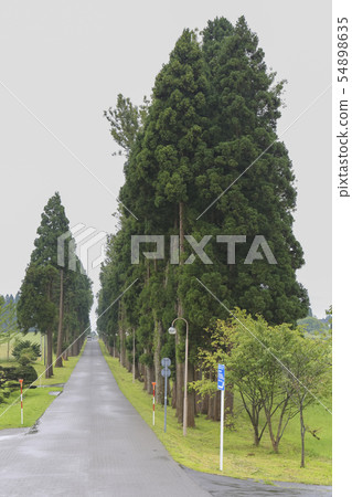 Tree-lined Hokkaido, Hakodate Trappist Monastery 54898635