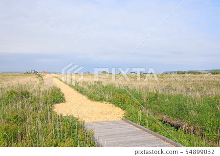 Kiritappu Mire 54899032