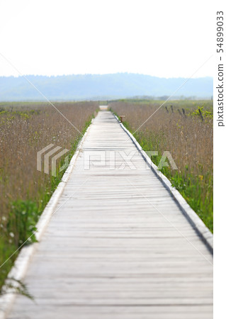 Kiritappu泥潭 54899033