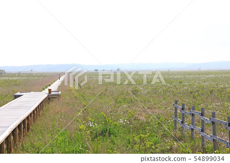 Kiritappu泥潭 Kiritappu泥潭 54899034