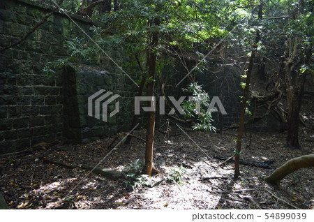 和歌山縣友島縣 和歌山縣友島縣 54899039