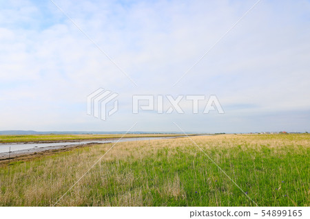 Kiritappu Mire 54899165