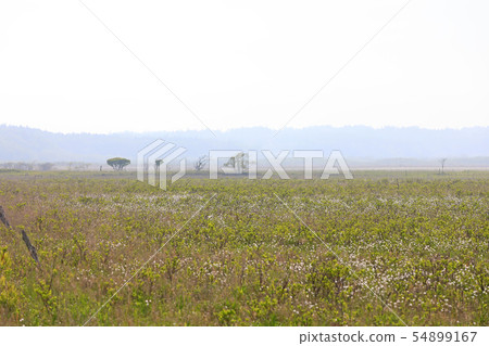 Kiritappu泥潭 Kiritappu泥潭 54899167