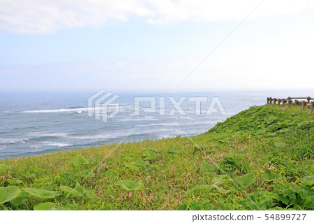 Scenery of Kiritappu Point 54899727