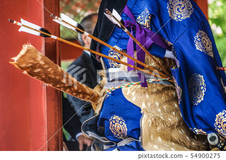 Armor of Flower horse 54900275