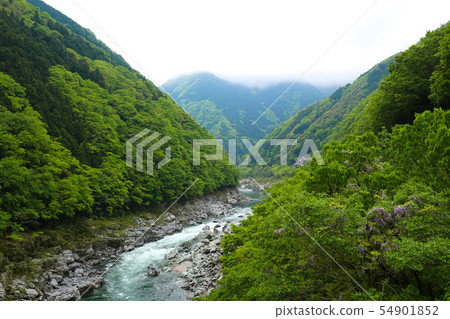 Unexplored territory of Shikoku Unexplored territory of Shikoku 54901852