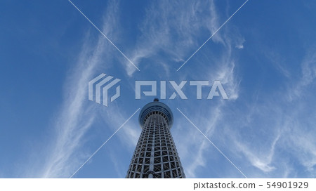 天空樹和冬天天空 天空樹和冬天天空 54901929