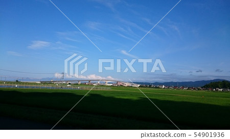 在稻田和藍天前面看見的橋樑 在稻田和藍天前面看見的橋樑 54901936