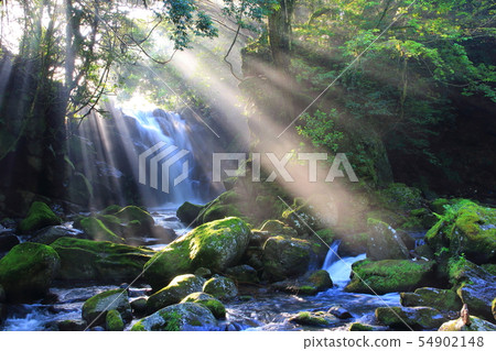 照明設備新綠色夫婦瀑布 54902148