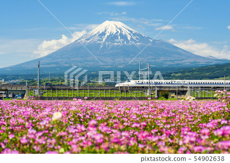 Shinkansen bullet train at Mountain Fuji 54902638