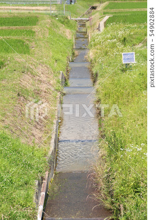 鄉村景觀 54902884