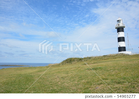 Tamarizaki Lighthouse 54903277