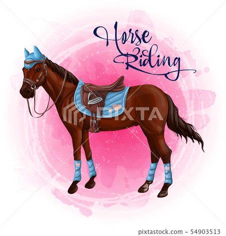 Horse in equestrian equipment vector illustration 54903513