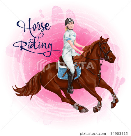 Woman Horseback Riding. Equestrian Sport. 54903515