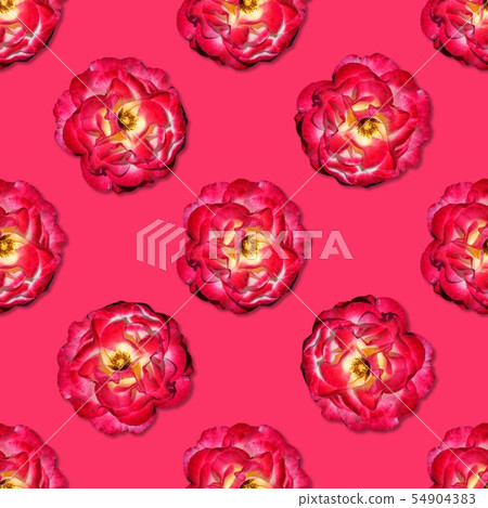 Vine red rose seamless pattern. Top view. Vine red rose seamless pattern. Top view. 54904383