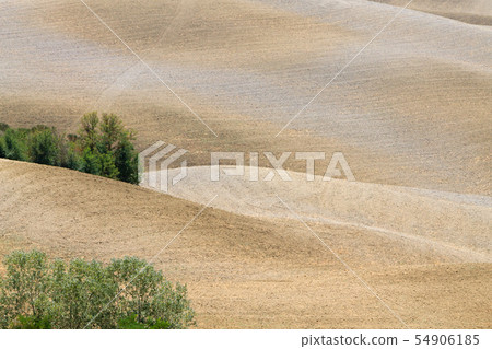 Curves background. Tuscany hills summer landscape Curves background. Tuscany hills summer landscape 54906185