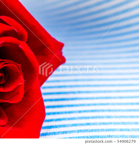 valentines or congratulation gift card on blue and valentines or congratulation gift card on blue and 54906279