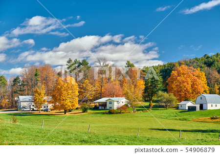 Countryside at sunny autumn day Countryside at sunny autumn day 54906879