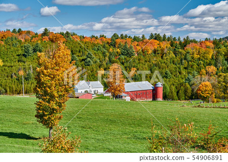 Farm with barn at sunny autumn day Farm with barn at sunny autumn day 54906891
