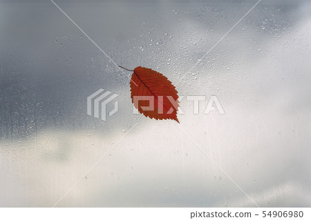 One orange leaf on wet window, rain drops. Concept of rainy weather, fall season, autumn. Abstract One orange leaf on wet window, rain drops. Concept of rainy weather, fall season, autumn. Abstract 54906980