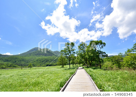 從大分縣久居町田原濕地自然研究路出發的三鷹山Kuju-Ren山Kuju-Yamanami高速公路 從大分縣久居町田原濕地自然研究路出發的三鷹山Kuju-Ren山Kuju-Yamanami高速公路 54908345