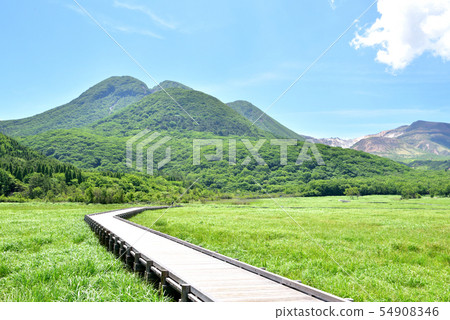從大分縣久居町田原濕地自然研究路出發的三鷹山Kuju-Ren山Kuju-Yamanami高速公路 從大分縣久居町田原濕地自然研究路出發的三鷹山Kuju-Ren山Kuju-Yamanami高速公路 54908346