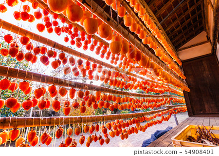 (Yamanashi Prefecture) Sun-dried Japanese-style eel (Yamanashi Prefecture) Sun-dried Japanese-style eel 54908401