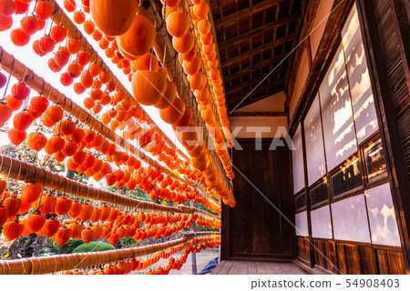 （山梨縣）曬乾日式鰻魚 54908403