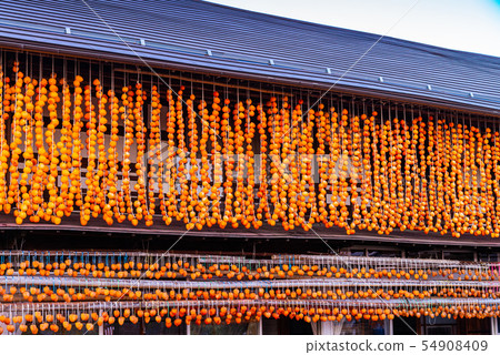 (Yamanashi Prefecture) Sun-dried Japanese-style eel (Yamanashi Prefecture) Sun-dried Japanese-style eel 54908409