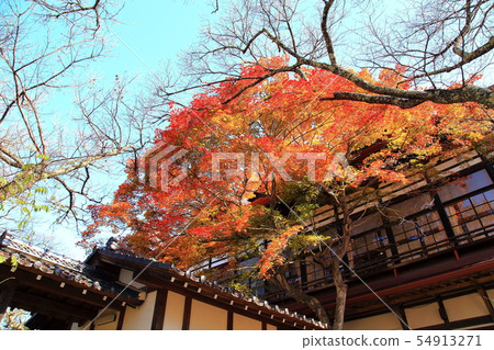 Takato Castle Ruins Park 54913271