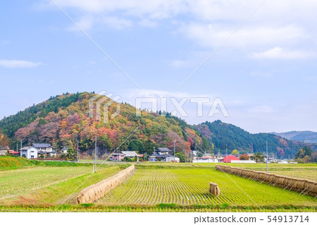 鄉村田園風光(秋季) 鄉村田園風光(秋季) 54913714
