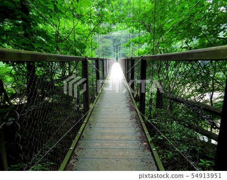 那須鹽原懸索橋 54913951