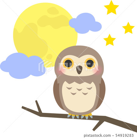 Owl and the night sky Owl and the night sky 54919283