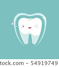 Tooth whitening of dental, cartoon concept. 54919749